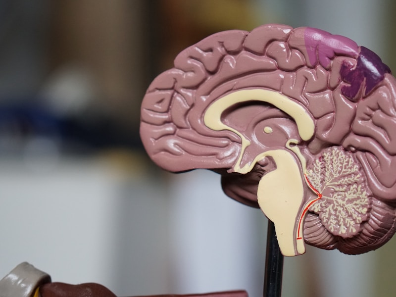 Healthcare AI: Transforming Patient Care